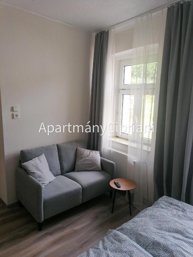 Apartmany Cipriani Jáchymov Exteriér fotografie